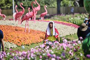 BIB: 
                            <button type="button" onclick="openModal(27793399)" class="btn btn-primary btn-sm float-right btn-popup" data-toggle="modal" data-target=".modal-high-quality">
                        <i class="fas fa-shopping-cart"></i> Add to Cart
                    </button>
                                            <button type="button" onclick="isThisMe(27793399, true)" class="btn btn-success btn-sm float-right btn-popup btn-isme hidden" data-toggle="tooltip" data-placement="bottom" title="นี่คือรูปของคุณใช่ไหม คลิกที่นี่เพื่อเอาเข้าอัลบั้ม">
                        <i class="fas fa-plus"></i> Add to album
                    </button>
                    <button type="button" onclick="isThisMe(27793399, false)" class="btn btn-warning btn-sm float-right btn-popup btn-isnotme hidden">
                        <i class="fas fa-ban"></i> Remove from album
                    </button>